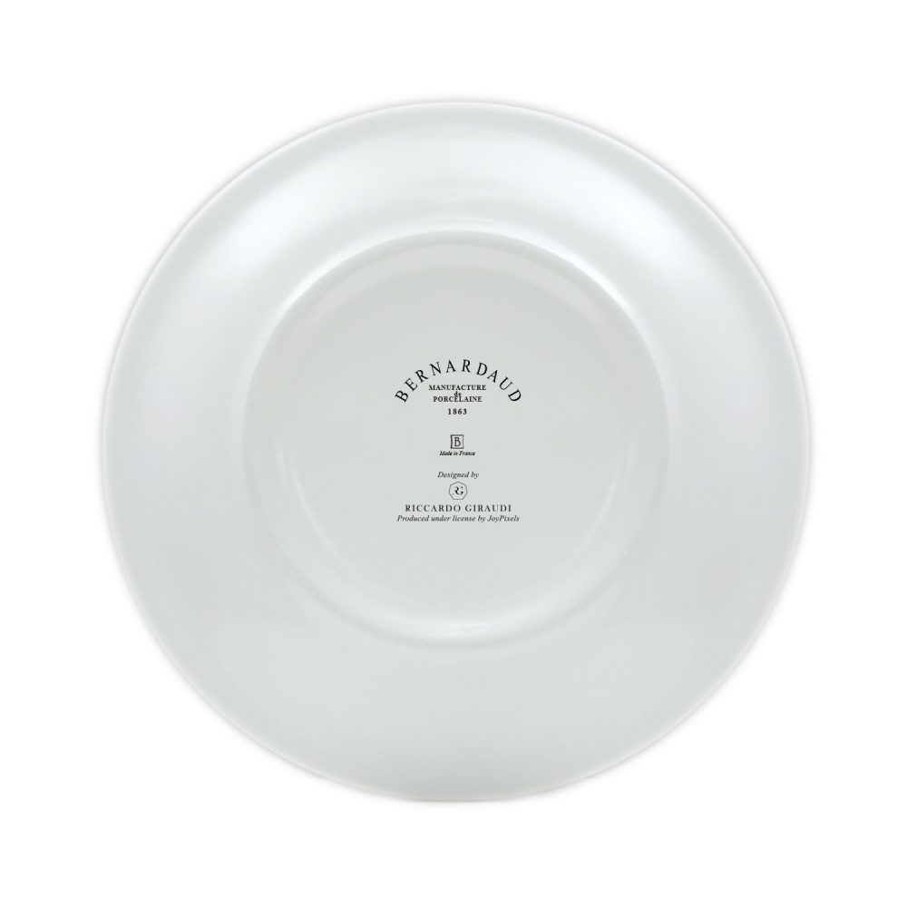 porcelain bernardaud plates