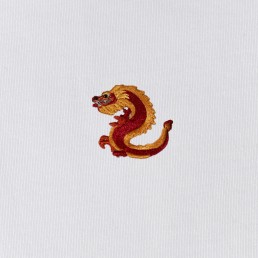 embrodredy dragon emoji