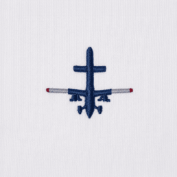 airplain saint barth emoji beefbar